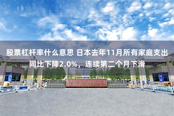 股票杠杆率什么意思 日本去年11月所有家庭支出同比下降2.0%，连续第二个月下滑