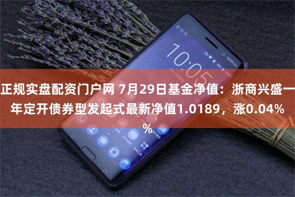 正规实盘配资门户网 7月29日基金净值：浙商兴盛一年定开债券型发起式最新净值1.0189，涨0.04%