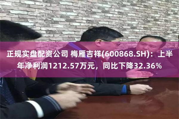 正规实盘配资公司 梅雁吉祥(600868.SH)：上半年净利润1212.57万元，同比下降32.36%