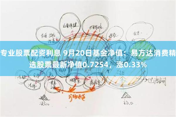 专业股票配资利息 9月20日基金净值：易方达消费精选股票最新净值0.7254，涨0.33%