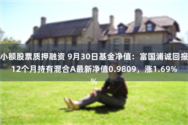 小额股票质押融资 9月30日基金净值：富国浦诚回报12个月持有混合A最新净值0.9809，涨1.69%