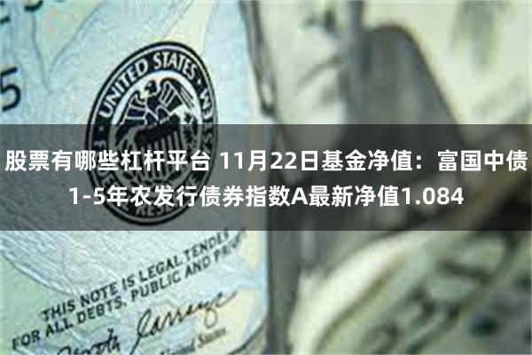 股票有哪些杠杆平台 11月22日基金净值：富国中债1-5年农发行债券指数A最新净值1.084