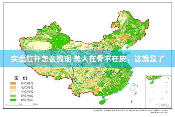 实盘杠杆怎么提现 美人在骨不在皮，这就是了