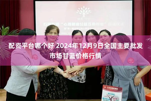 配资平台哪个好 2024年12月9日全国主要批发市场甘蓝价格行情