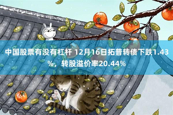 中国股票有没有杠杆 12月16日拓普转债下跌1.43%，转股溢价率20.44%