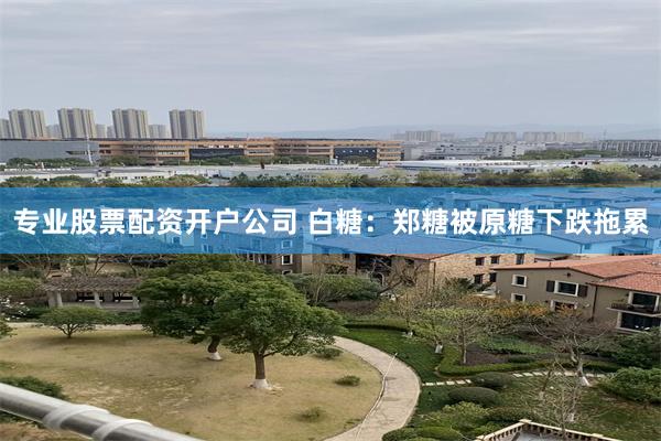 专业股票配资开户公司 白糖：郑糖被原糖下跌拖累